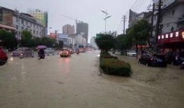 咸宁通城最新爆料,揭秘神秘事件背后的真相