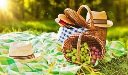 野餐兔网红吃瓜图片高清,高清美图曝光！